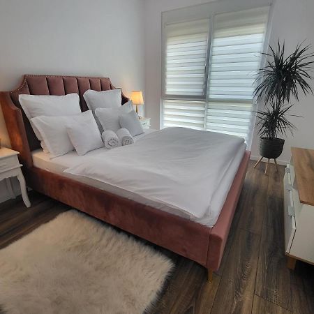 Sika Sunny Garden Apartment Arad Extérieur photo