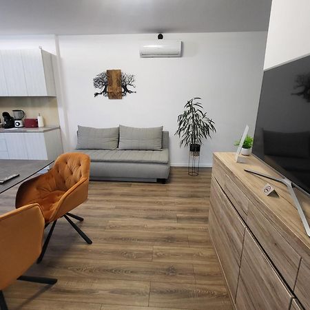 Sika Sunny Garden Apartment Arad Extérieur photo