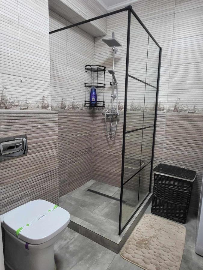 Sika Sunny Garden Apartment Arad Extérieur photo