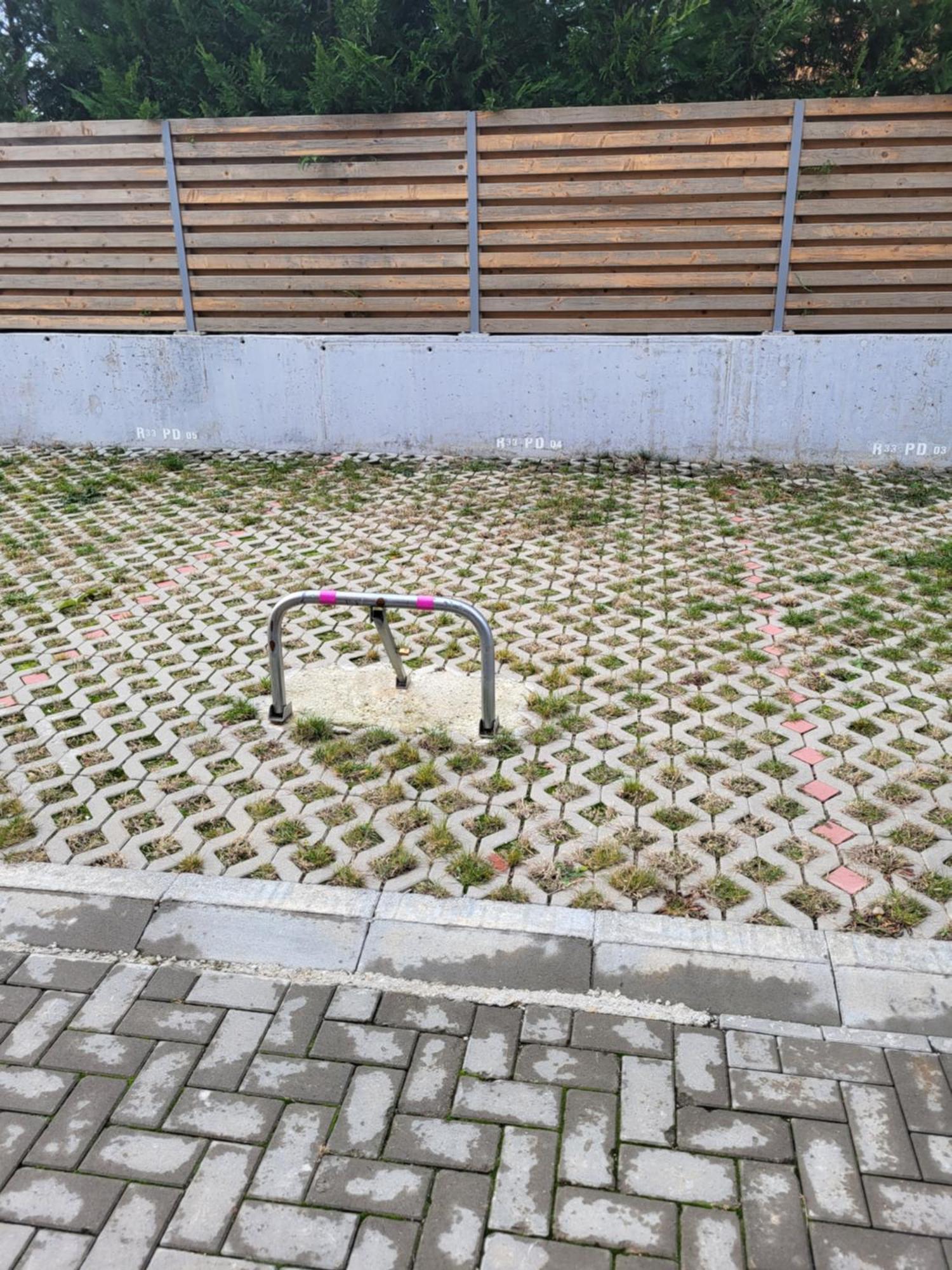 Sika Sunny Garden Apartment Arad Extérieur photo